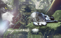 /album/signature-non-libres/nymeria-png/