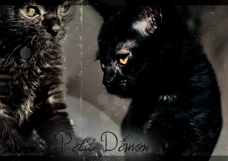 Petit Démon